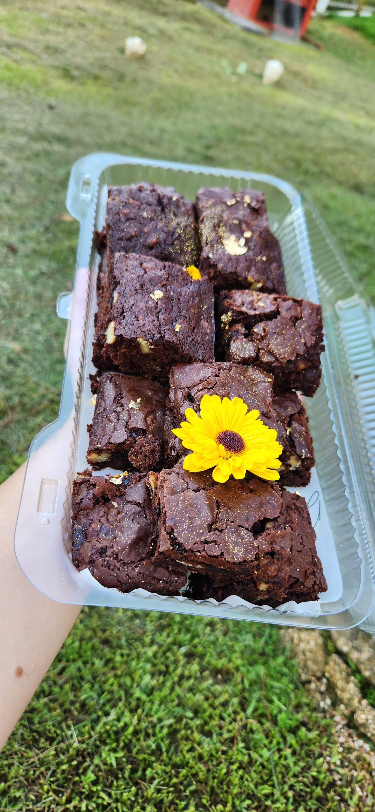 Brownie bites